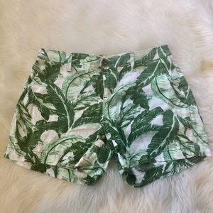 Palm shorts